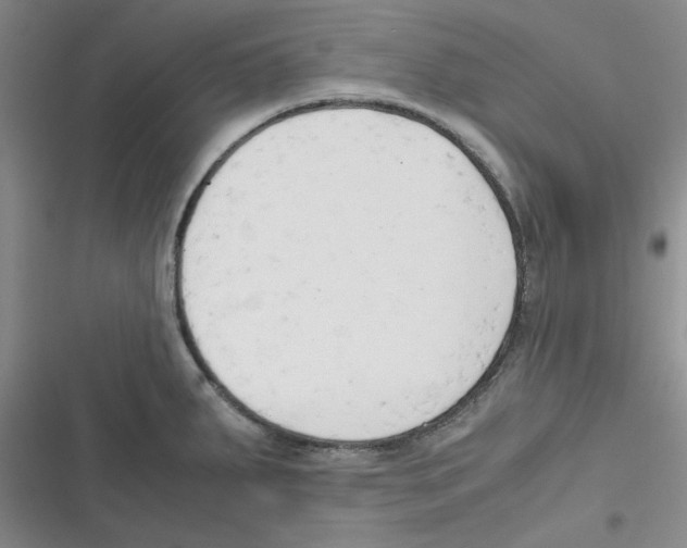 X0000116661287201001111242