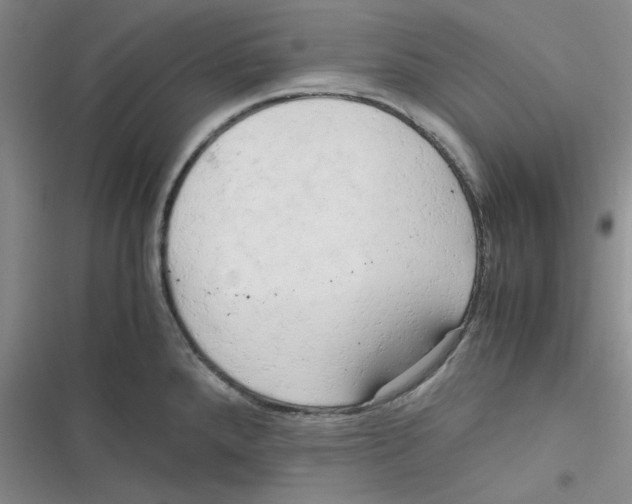 X0000116661288201001111242