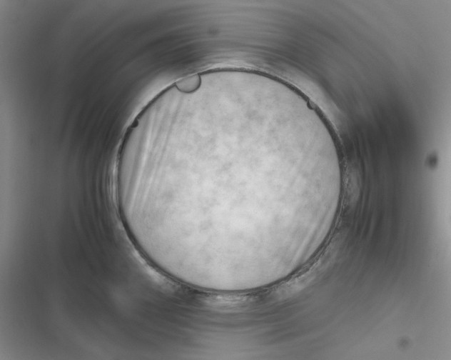 X0000116661290201001111242
