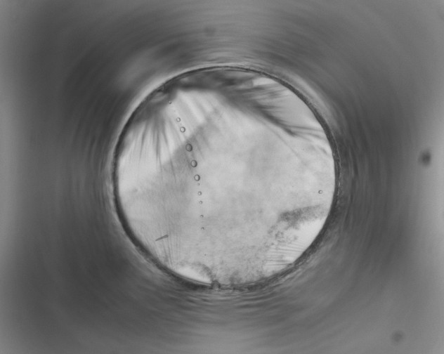 X0000116661291201001111242
