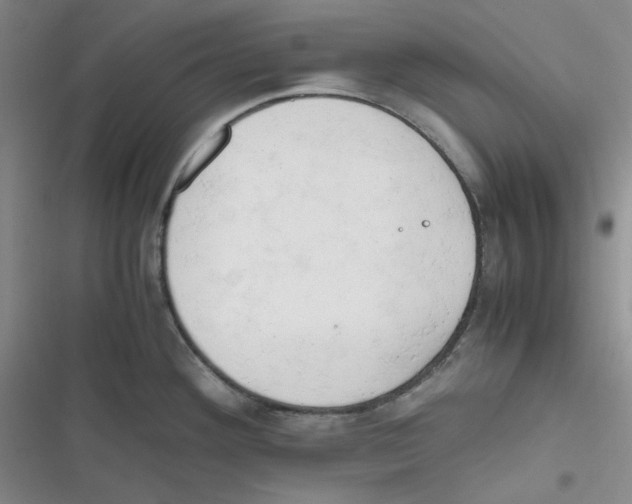 X0000116661292201001111242