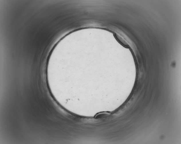 X0000116661293201001111242