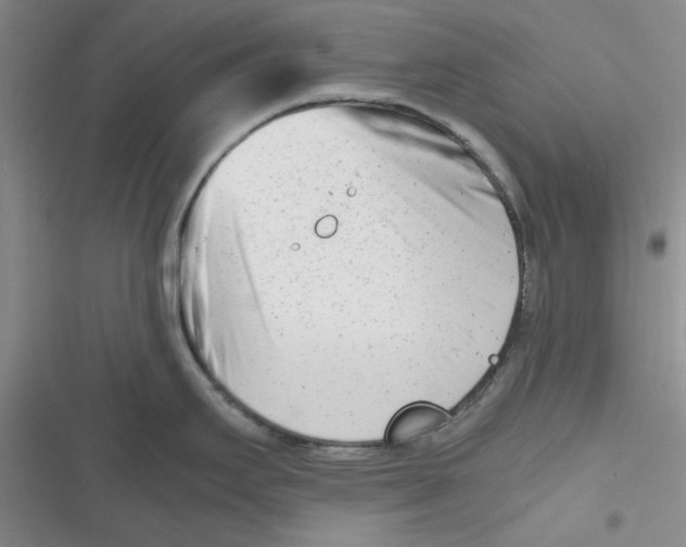X0000116661295201001111242