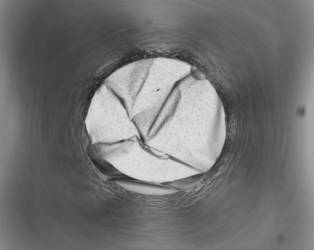 X0000116661297201001111241