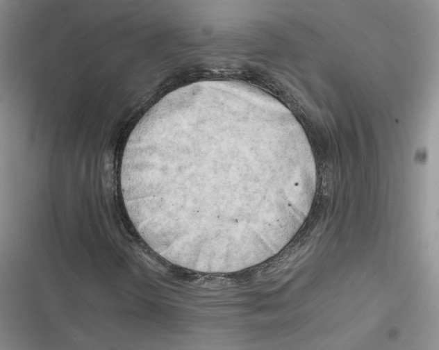 X0000116661298201001111241