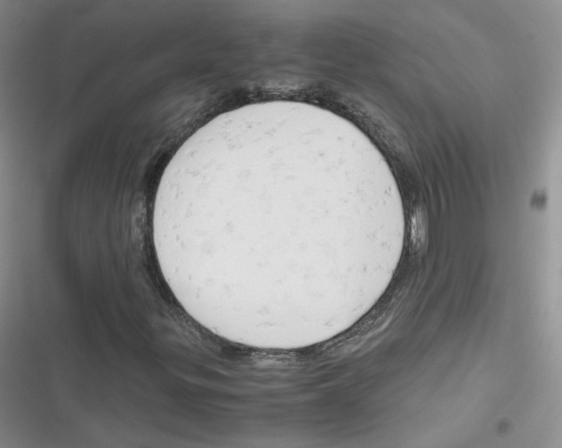 X0000116661299201001111241