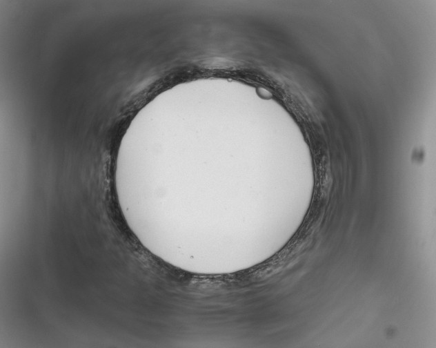 X0000116661301201001111241