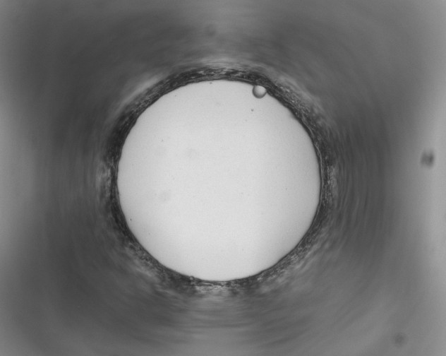 X0000116661302201001111241