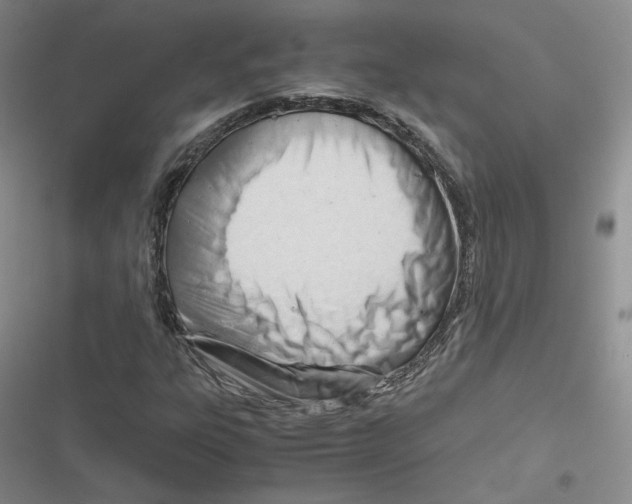 X0000116661303201001111241