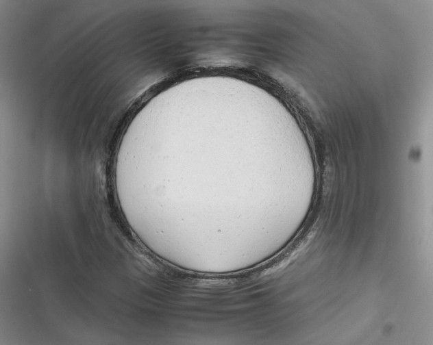 X0000116661305201001111241