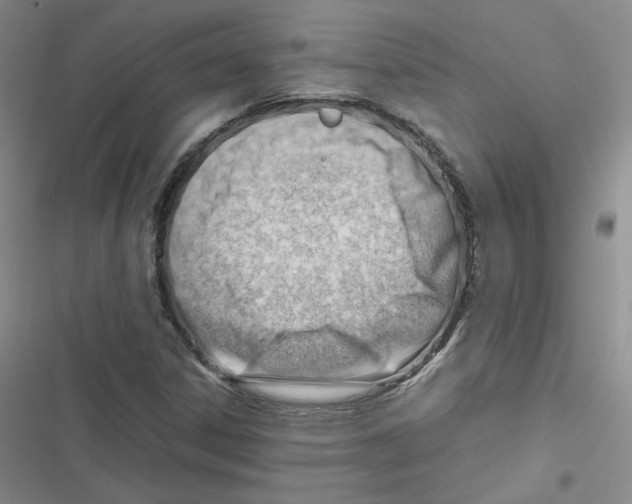 X0000116661306201001111241