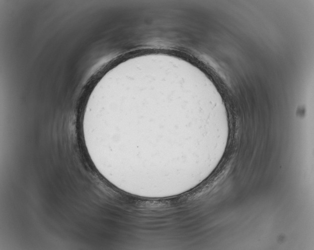 X0000116661307201001111241