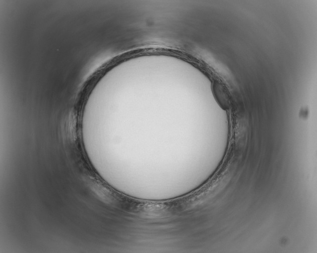 X0000116661310201001111241