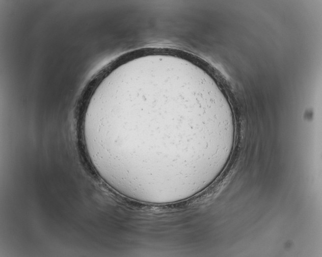 X0000116661311201001111241