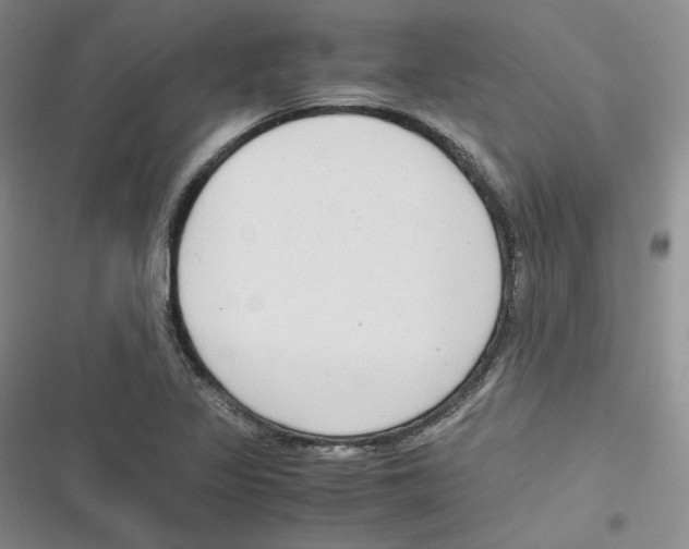 X0000116661317201001111242