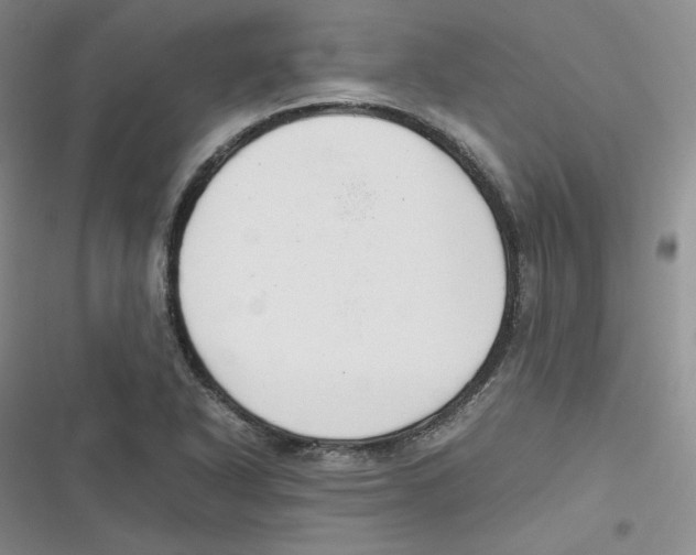 X0000116661318201001111242