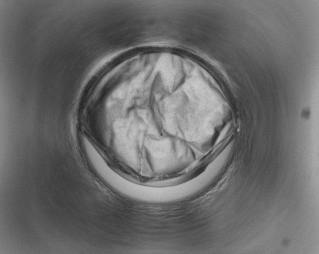 X0000116661319201001111242