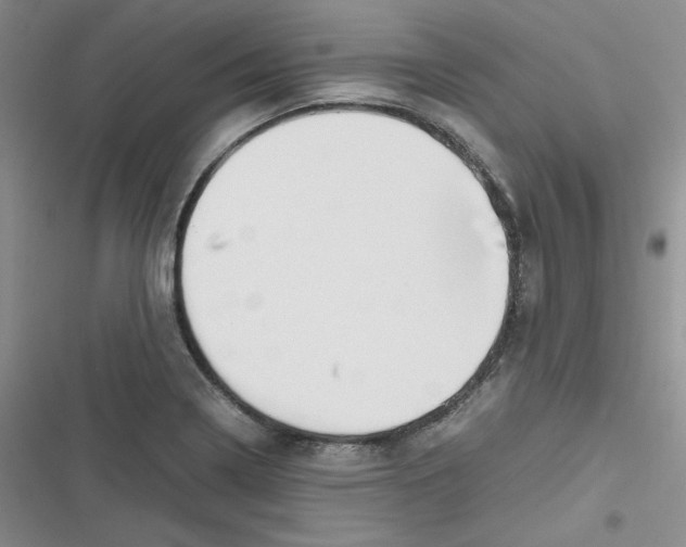 X0000116661322201001111242