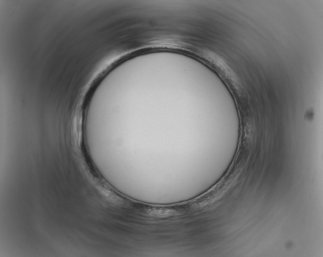 X0000116661323201001111242