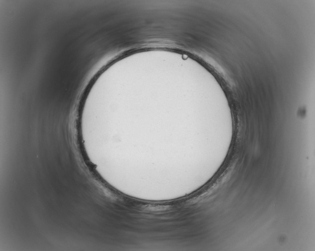 X0000116661325201001111242