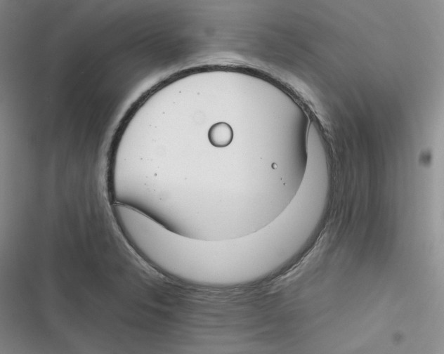X0000116661326201001111242