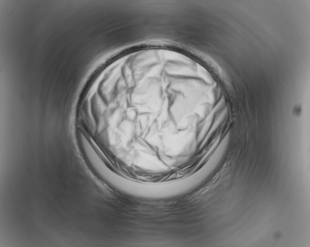 X0000116661327201001111242