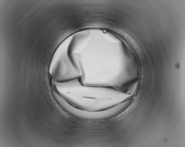 X0000116661329201001111242