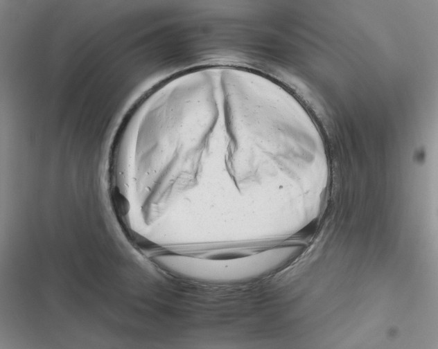 X0000116661331201001111242