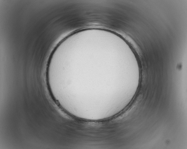 X0000116661333201001111242