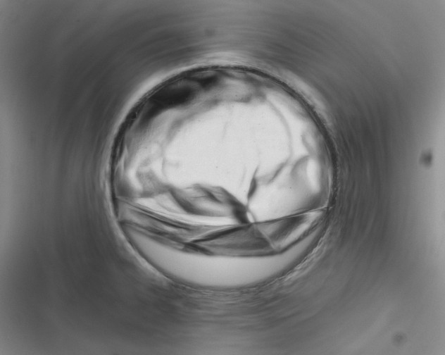 X0000116661334201001111242