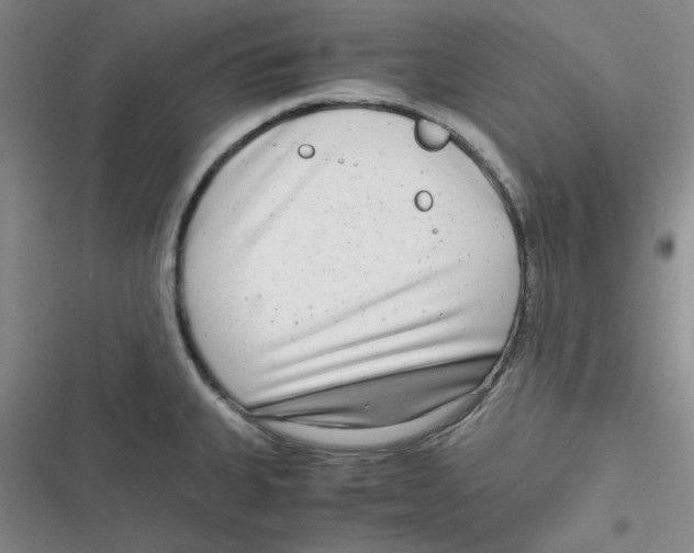 X0000116661335201001111242