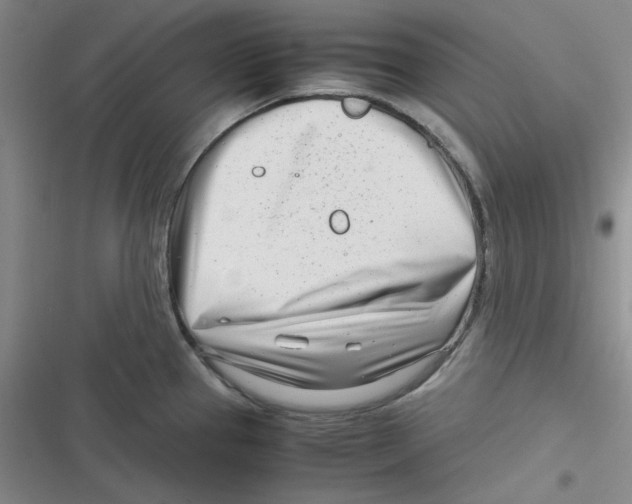 X0000116661337201001111242