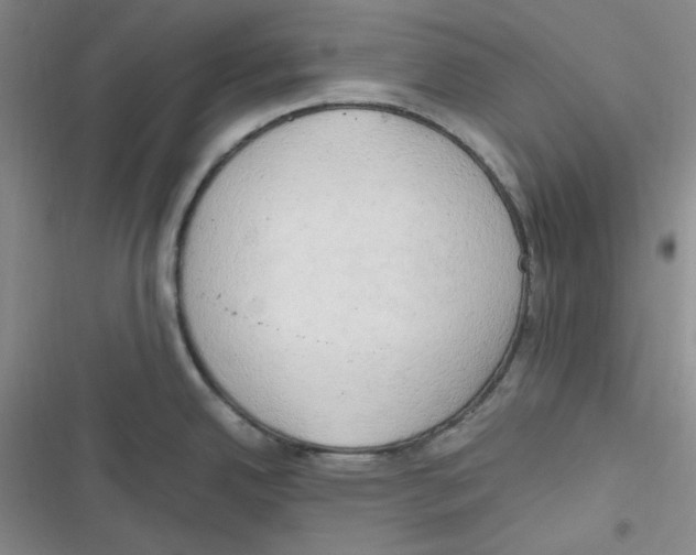X0000116661342201001111242