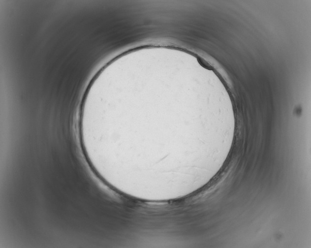 X0000116661343201001111242
