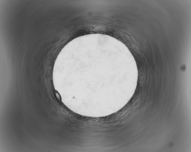 X0000116661345201001111241