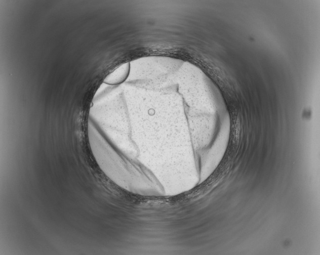 X0000116661346201001111241