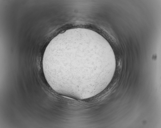 X0000116661348201001111241