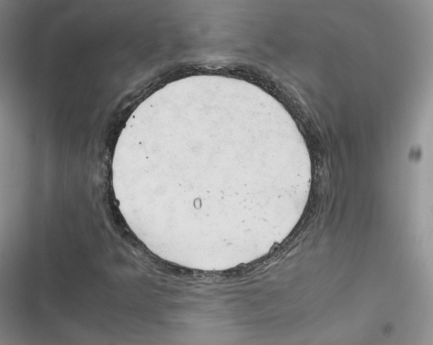 X0000116661349201001111241