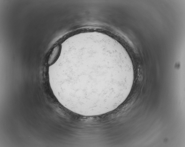 X0000116661352201001111241