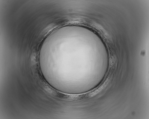 X0000116661353201001111241
