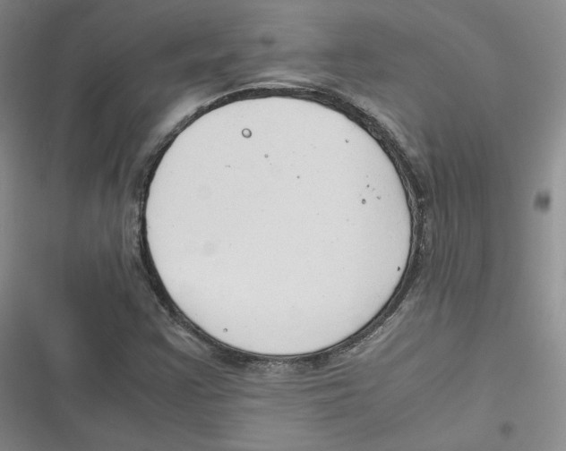 X0000116661355201001111241
