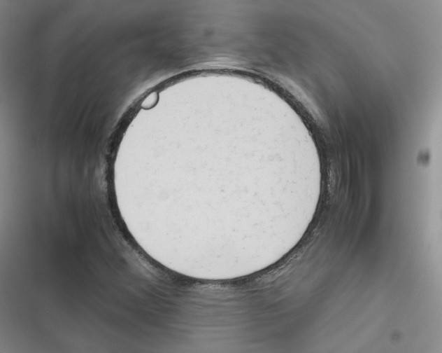 X0000116661356201001111241