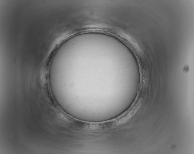 X0000116661357201001111241