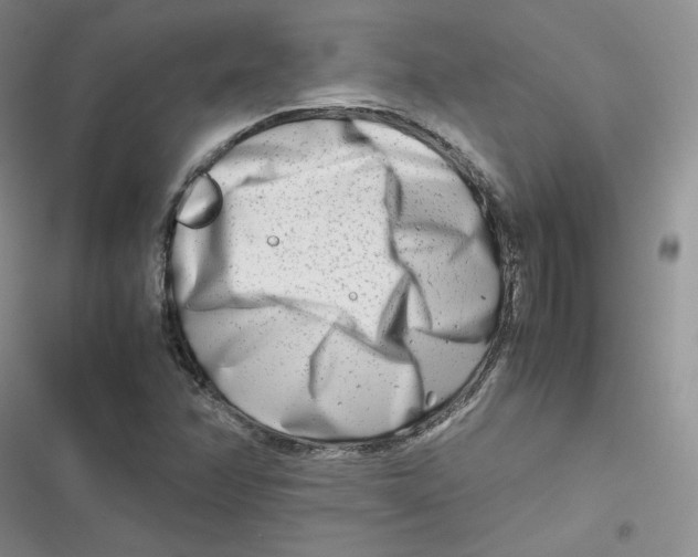 X0000116661358201001111241