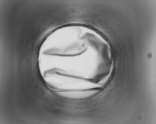 X0000116661359201001111241