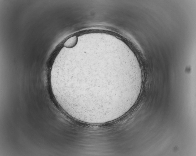X0000116661360201001111241