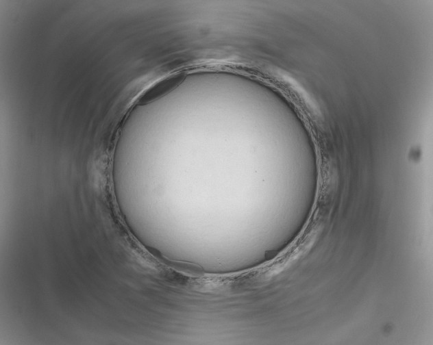 X0000116661361201001111241