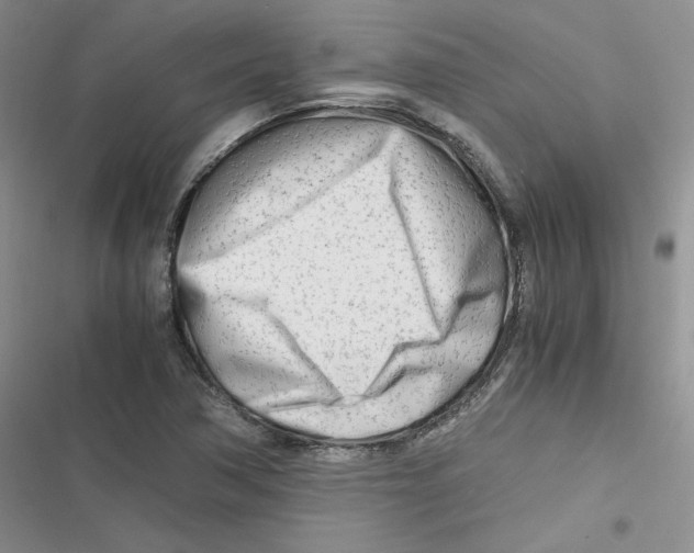 X0000116661362201001111241