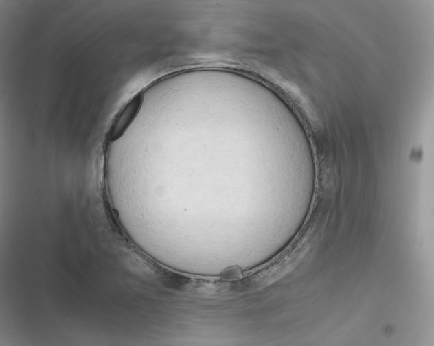 X0000116661365201001111241