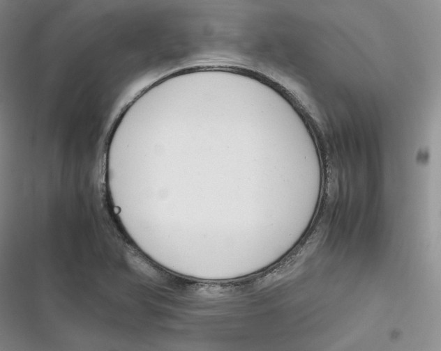 X0000116661366201001111241